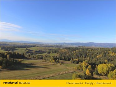 Działka rolna na sprzedaż Trybsz, Łapsze Niżne 3 000m2 Foto 2