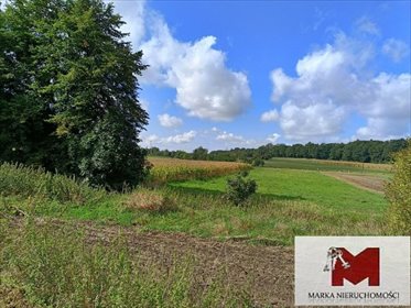 Działki pod zabudowę w Bytkowie - zapraszam działka Bytków, Bytków, Główna