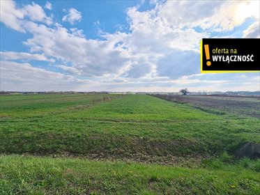 Działka 1,08 ha z mediami (Łubnice) - inwestycja w spokojnej okolicy działka Łubnice