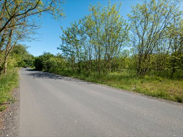Na sprzedaż działka 4628 m² z mediami i podziałem w Dzierżnie działka Pyskowice, Dzierżno