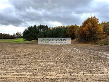 działka na sprzedaż 14200m2 działka Mściszewice