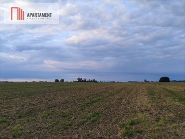 Sprzedam działkę 5000 m² z widokiem i warunkami zabudowy działka Borkowice