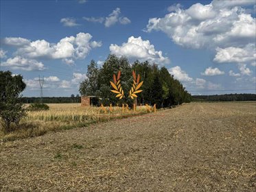 Działka 8 849 m² pod dom z dużym ogrodem, MPZP, Karlin działka Karlin, Nowa