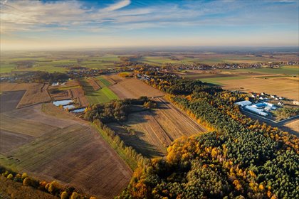 Działka 801 m2 z lasem, blisko Wrocławia i plaży działka Długołęka, Zamień miasto na ciszę – działki blisko Wrocławia