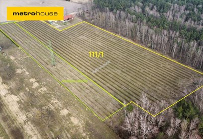 działka na sprzedaż 22000m2 działka Powązki, Dębowa