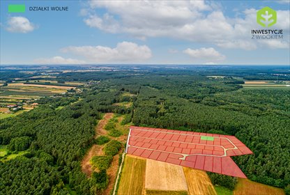 Działka 500 m² w Ossie (blisko lasu, 55 min od Warszawy) działka Ossa, Ostatnie działki w tej cenie - 55 min od Warszawy
