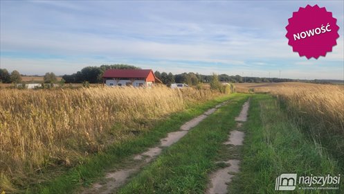 Działka 3000 m² w Czerninie - widok na pola i las działka Czernin, Wieś