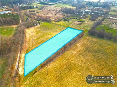 działka na sprzedaż 4800m2 działka Nieżyn