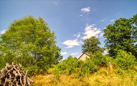 Działka inwestycyjna na sprzedaż Sitne 8 900m2 Foto 3