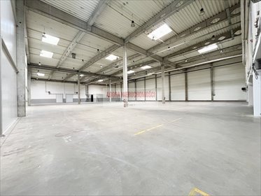 magazyn na wynajem 2860m2 magazyn Kraków, Rybitwy, Rybitwy, Tadeusza Śliwiaka
