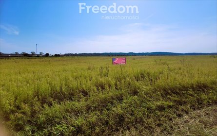 działka na sprzedaż 3010m2 działka Nidzica