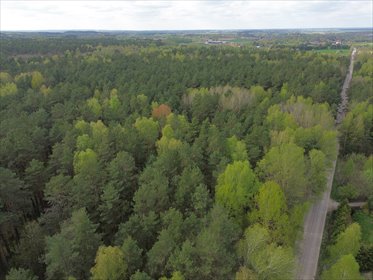 Działka leśna 5896 m² w Choroszczy (las, asfalt) działka Choroszcz, Barszczewo, Laurowa