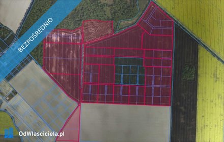 Duża działka inwestycyjna 386 648 m2 bez prowizji działka Żydowo