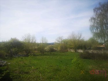 Działka budowlana na sprzedaż Kielce 827m2 Foto 6