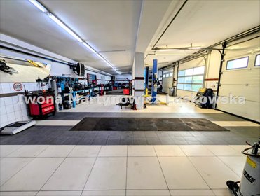 lokal użytkowy na sprzedaż 2652m2 lokal użytkowy Ścinawa