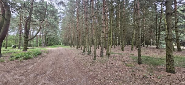 działka na sprzedaż 16460m2 działka Chełpa