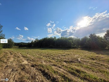 Działka budowlana 3797 m² w Masłowie Drugi – blisko Kielc działka Masłów, Masłów Drugi