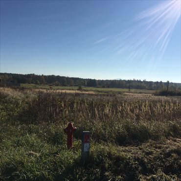 Działka budowlana na sprzedaż Barcza 850m2 Foto 3