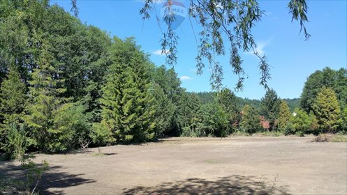 działka na sprzedaż 2500m2 działka Rumia, Kamienna
