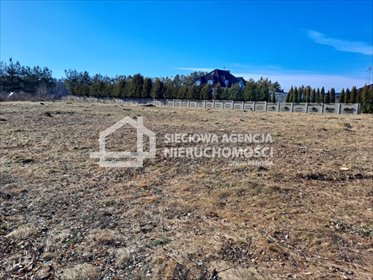 Działka 3066 m² z altanką i dojazdem asfaltowym działka Glincz