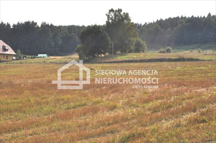 Działka 1130 m² w Borowym Lesie - spokój i natura polecam! działka Borek Kamienny
