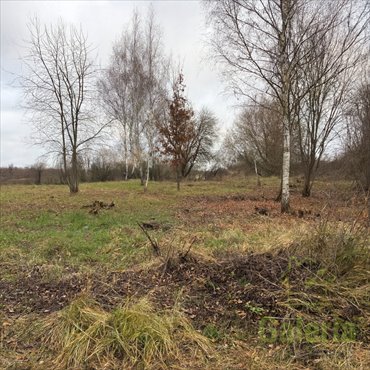 działka na sprzedaż 1000m2 działka Dołuje