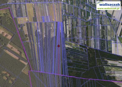 działka na sprzedaż 11780m2 działka Bilska Wola