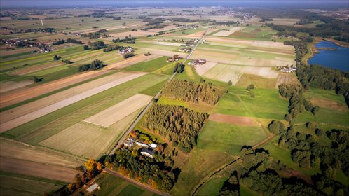 działka na sprzedaż 15700m2 działka Kotliny