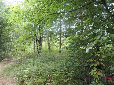 działka na sprzedaż 1200m2 działka Sobików