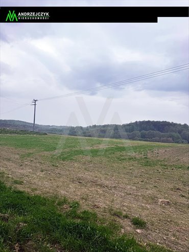 Polecam działkę 1974 m² w Lisewie blisko plaży i jeziora działka Krokowa, Lisewo, Lisewo, Lisewska