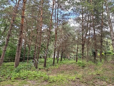 Działka 937 m² w prestiżowym Komorowie z mediami działka Komorów