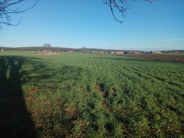 Działka rolna na sprzedaż Błażejewo 16 300m2 Foto 2