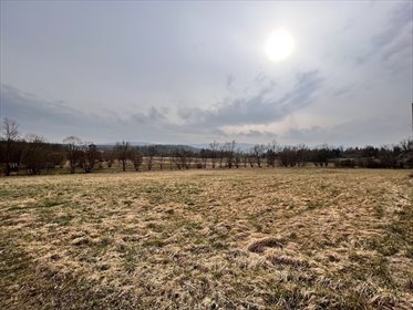 działka na sprzedaż 4690m2 działka Rębiszów