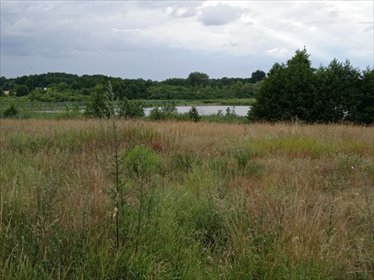 działka na sprzedaż 2000m2 działka Poznań, Stare Miasto, Umultowo, Umultowska