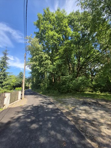 Działka 5682 m² w Rudy - cicha okolica, media zapraszam działka Rudy, Brontolka, Zielona