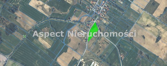 Działka budowlana na sprzedaż Królewo, Królewo, Królewo 9 426m2 Foto 6