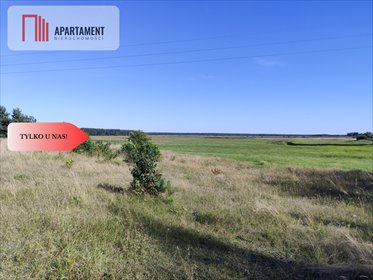 Działka rolna 33,5 ha w Brzezie - zapraszam działka Brzezie