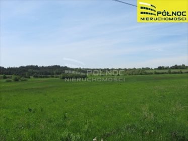 działka na sprzedaż 3816m2 działka Lgota Wolbromska