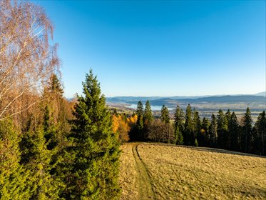 Działka z panoramicznym widokiem na Tatry – 71 arów działka Knurów