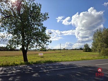 działka na sprzedaż 21827m2 działka Kuriany