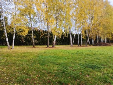 Działka budowlana pod dzierżawę Konstancin-Jeziorna, Skolimów, Kazimierza Pułaskiego 2 890m2 Foto 1