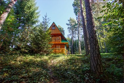 działka na sprzedaż 5300m2 działka Wiśniowa