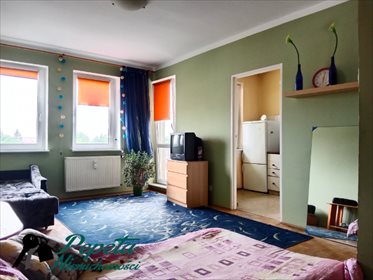 Kawalerka na sprzedaż Poznań, Grunwald, Międzyborska 34m2 Foto 2