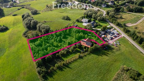 Na sprzedaż działka 4265 m² z oczkiem wodnym w Pomlewie działka Pomlewo