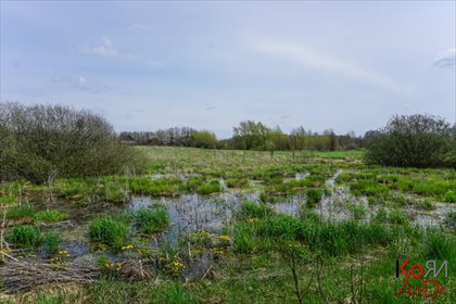 Działka rekreacyjna na sprzedaż Stare Chojno 4 000m2 Foto 6