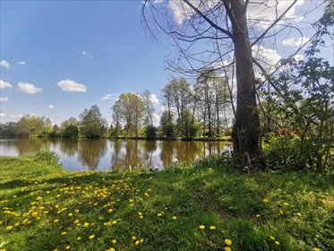 Działka 5 ha z stawami pod glamping i hotel działka Grodzisk Mazowiecki