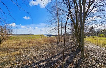 działka na sprzedaż 2964m2 działka Zemborzyce Tereszyńskie