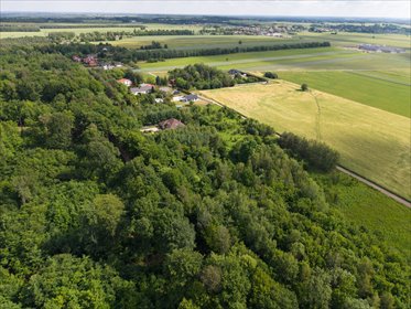 Twoja własna oaza przy rezerwacie działka Ksawerów