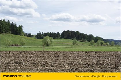 Działka rolna na sprzedaż Niedzica, Łapsze Niżne 1 247m2 Foto 5
