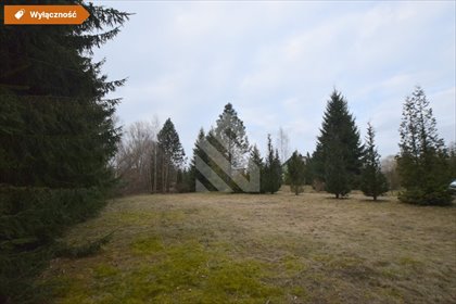 działka na sprzedaż 3149m2 działka Nowy Dwór